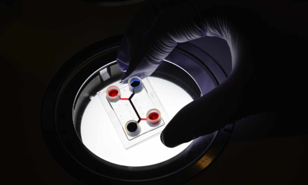 髙田グループのウェブサイトを開設しました。 2025/04/01